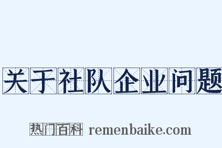 关于社队企业问题是什么意思的图片